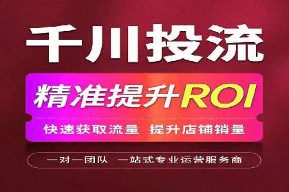 百度竞价SEM案例：揭秘高效广告投放技巧